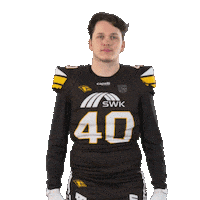 Football Sport Sticker by Krefeld Ravens