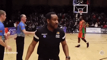 Excited Ric Flair GIF by Hoopsfix