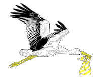 Damoiseaux Sticker