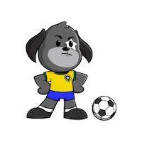 Futebol Copa Sticker