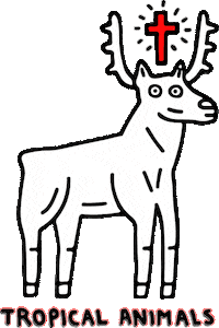 tropical-animals tropical tropical animals tropical firenze Sticker