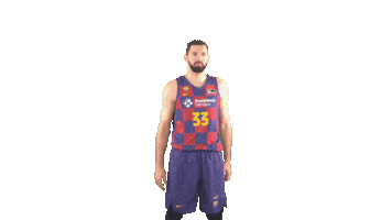 Fc Barcelona Basketball Sticker by ACB