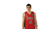 Cskabasket Zaytsev Sticker by CSKA Moscow