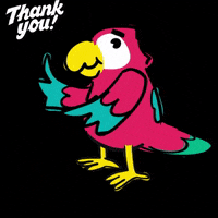 Macaotech thanks tech learning parrot GIF