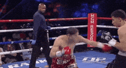 Espn Fighting GIF by Top Rank Boxing
