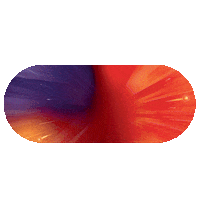 Pulze Sticker by blu Greece