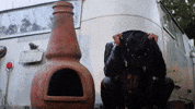 Sad Country GIF by Damez