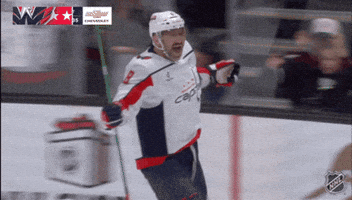 Happy Washington Capitals GIF by NHL