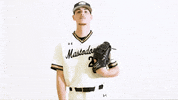 Ncaa Baseball Celebration GIF by Purdue Fort Wayne Athletics