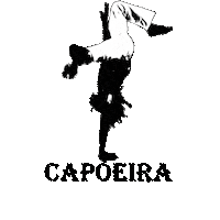 Capoeira Sticker by capoeiraluebeckmli