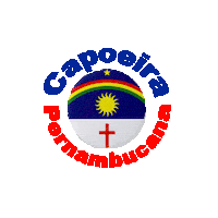 Capoeira Sticker by capoeiraluebeckmli