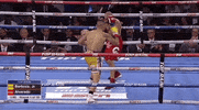 toprank fight boxing espn fighters GIF
