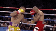 toprank fight boxing espn fighters GIF