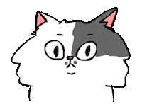 sorry cat Sticker by bimay