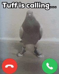Call Incoming GIF