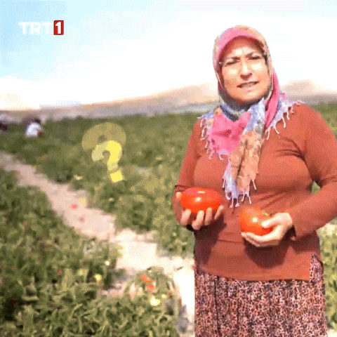 Question What GIF by TRT