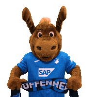 Sport Bundesliga Sticker by TSG Hoffenheim