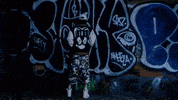 Dom Omo GIF by New 11