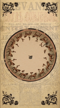 Mothers Day Festival GIF by The Pathfinder