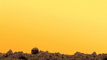 Hello GIF by Holler Studios