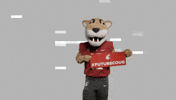 Washington State Go Cougs GIF by WSU Pullman