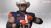Cnfb GIF by Carson-Newman Athletics