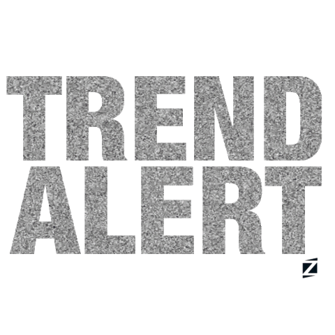 winter shoes Sticker by STZ