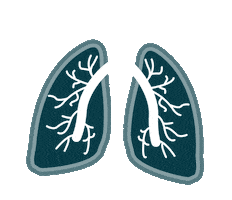 fgn-fortbildungen medical lunge medizin fortbildung Sticker