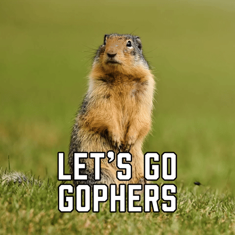 Let's Go Gophers