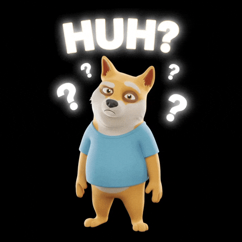Shiba Inu What GIF by Doge Pound