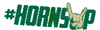 South Florida Bulls Sticker by USF Athletics