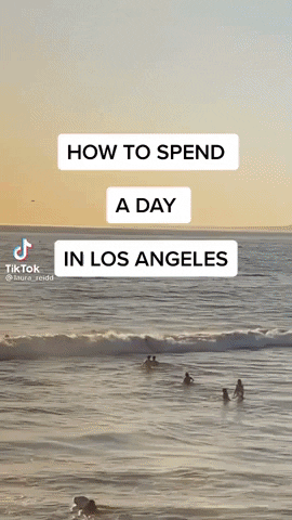 GIF by Culture Trip
