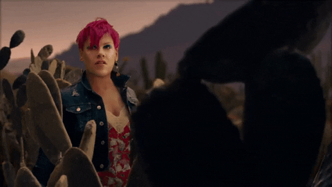 Dave Meyers GIF by P!NK