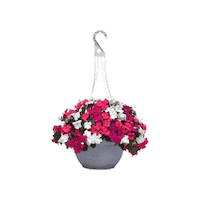 Flower Garden Sticker by Ball Horticultural Co
