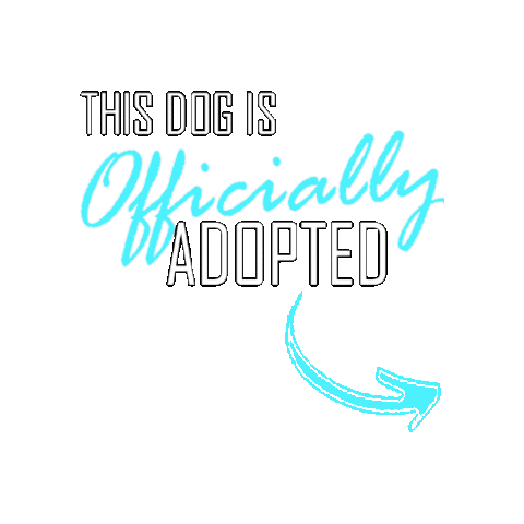 Happy Dog Sticker by TracysPawsRescue
