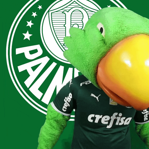 Palmeiras happy soccer feliz futebol GIF