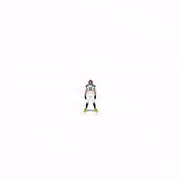 Seattle Seahawks Football GIF by Panini America
