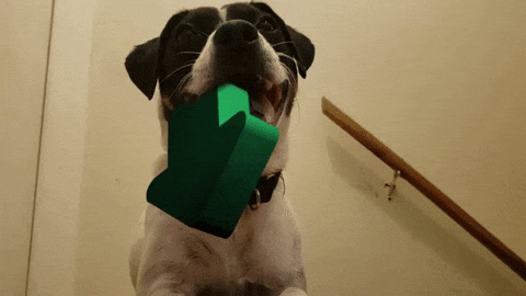 Upvote GIF by Imgur