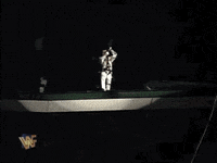 shawn michaels wrestling GIF by WWE
