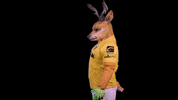 Yucatan Primerosoyvenado GIF by Venados FC