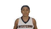 westernctstateuniversity basketball ncaa flex western Sticker