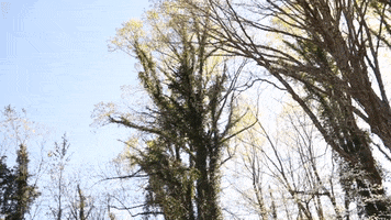 House Flip Building GIF by JC Property Professionals