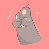 Cat No GIF