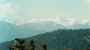 Talk Loud Music Video GIF by Polyvinyl Records