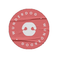 wunderdogae wonderdog wonder dog wunderdog wunder dog Sticker