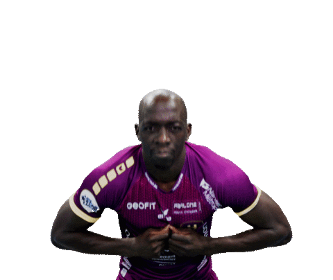 HBCNantes giphyupload handball h nantes Sticker