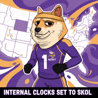 Reset Minnesota Vikings GIF by Doge Pound