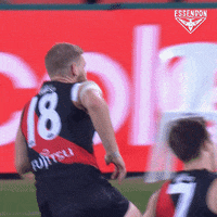 Happy Essendon Bombers GIF by Essendon FC