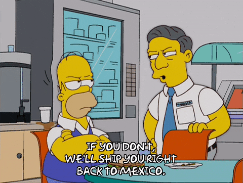 homer simpson GIF