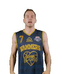 Basketball Center Sticker by Landstede Hammers